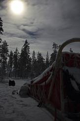 Hundeschlittentouren in Lappland