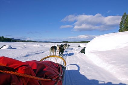 Sonniger Mrz in Lappland